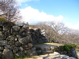 IMG_2625 のコピー