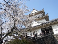 IMG_0043 のコピー